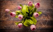 Букет розовых тюльпанов, вид сверху