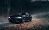 Черная BMW M6 в осеннем лесу