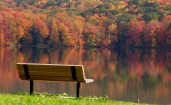 Деревянная скамейка на берегу озера