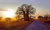 Дорога в Африке на закате