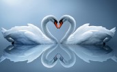 Два лебедя в форме сердца