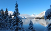 Елки под снегом, озеро, горы