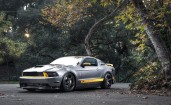 Ford Mustang GT Chicane