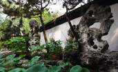 Китайская архитектура в саду