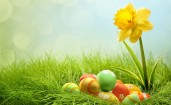 Крашенные яйца и весенний цветок