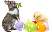 Кролик, цыплята и пасхальные яйца