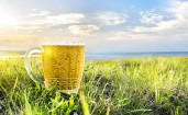 Кружка пива на траве