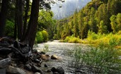 Лесная река в Йосемити-Фолс