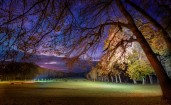 Ночная подсветка в парке