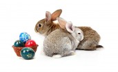 Пасхальные кролики и яйца