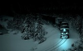 Поезд в ночном лесу