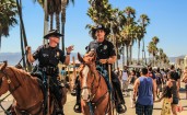 Полицейские на лошадях