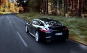 Porsche Panamera сзади на лесной дороге