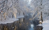 Речка между деревьев зимой