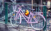 Розовый велосипед у ограды