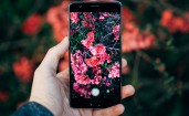Снимок цветов на смартфон