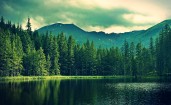 Тихое озеро в лесу