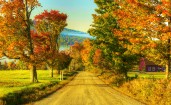 Загородная дорога между деревьев осенью
