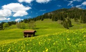 Зеленые поля в Баварских Альпах