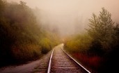 Железная дорога между кустов и деревьев уходит в туман