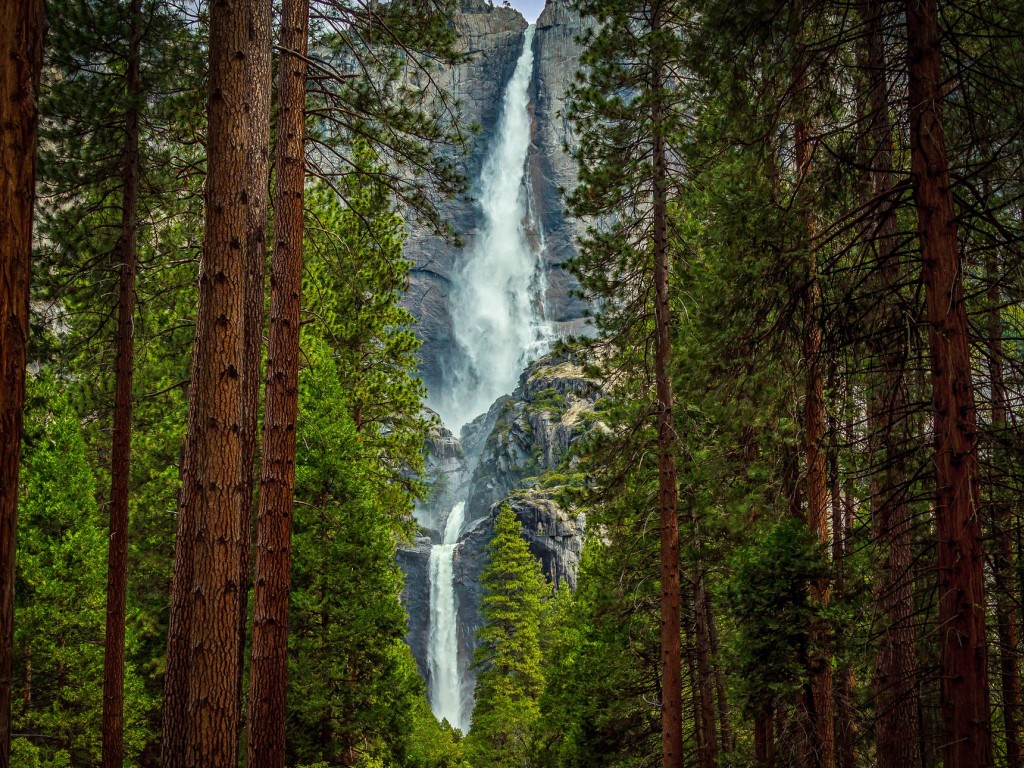 Водопад за сосновым лесом 1024x768