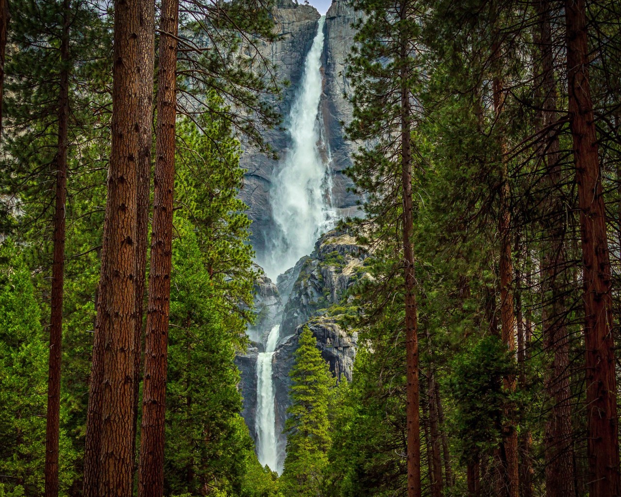 Водопад за сосновым лесом 1280x1024