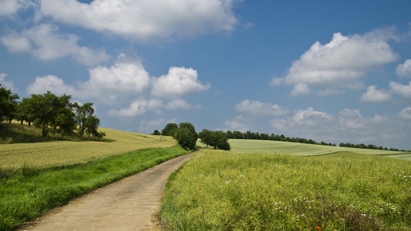 Дорога в зеленом летнем поле 1366x768