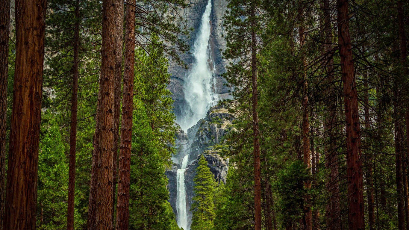 Водопад за сосновым лесом 1366x768