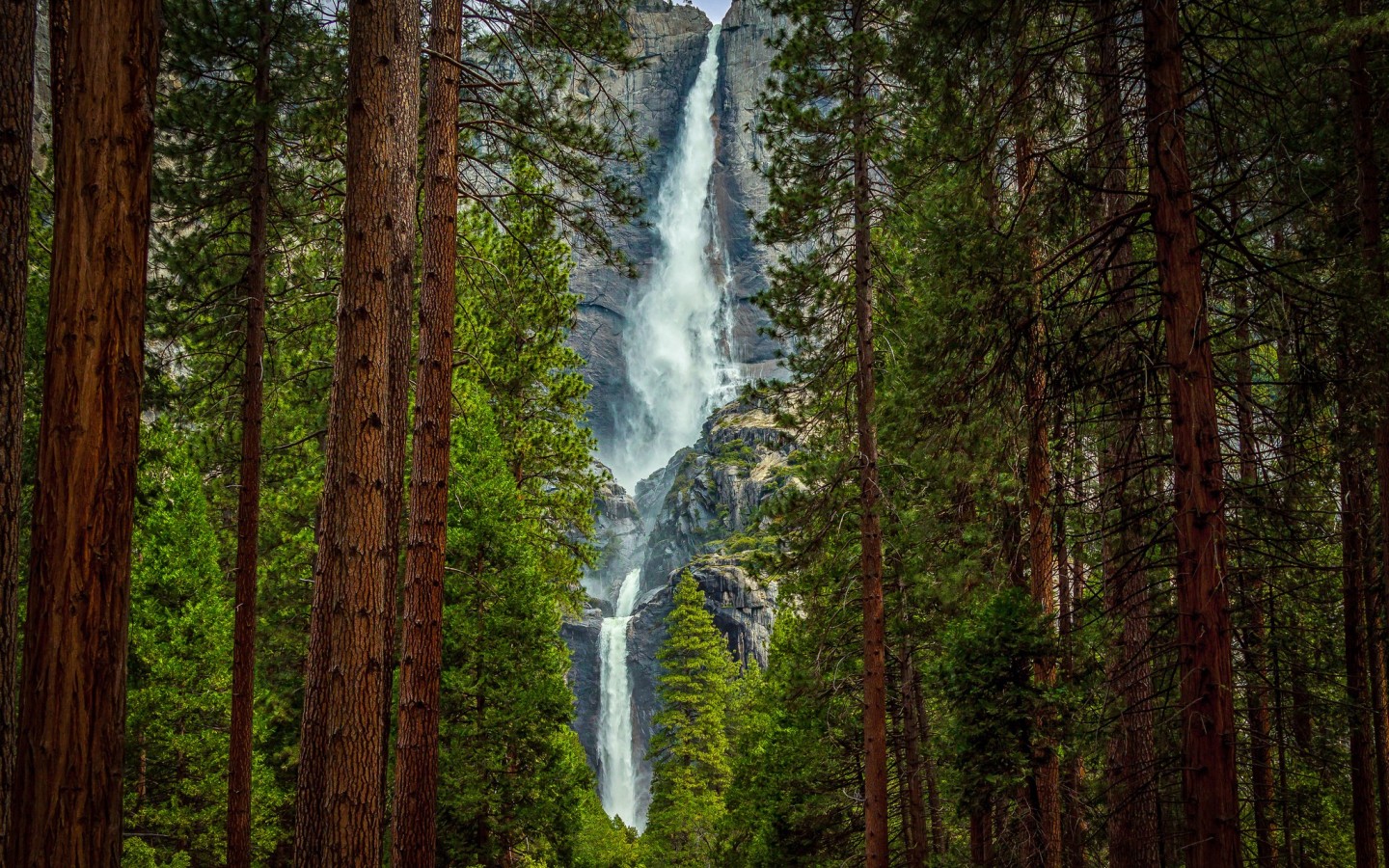 Водопад за сосновым лесом 1440x900