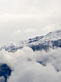 Заснеженные горы над облаками 240x320