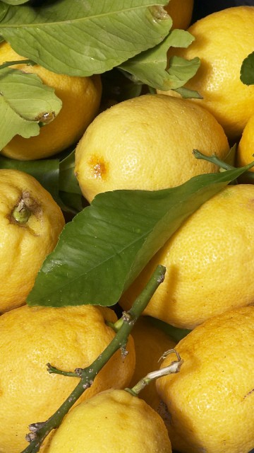 Спелые лимоны 360x640