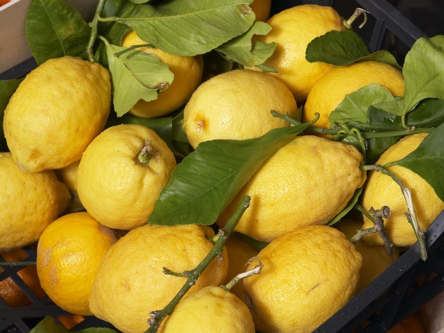 Спелые лимоны 640x480