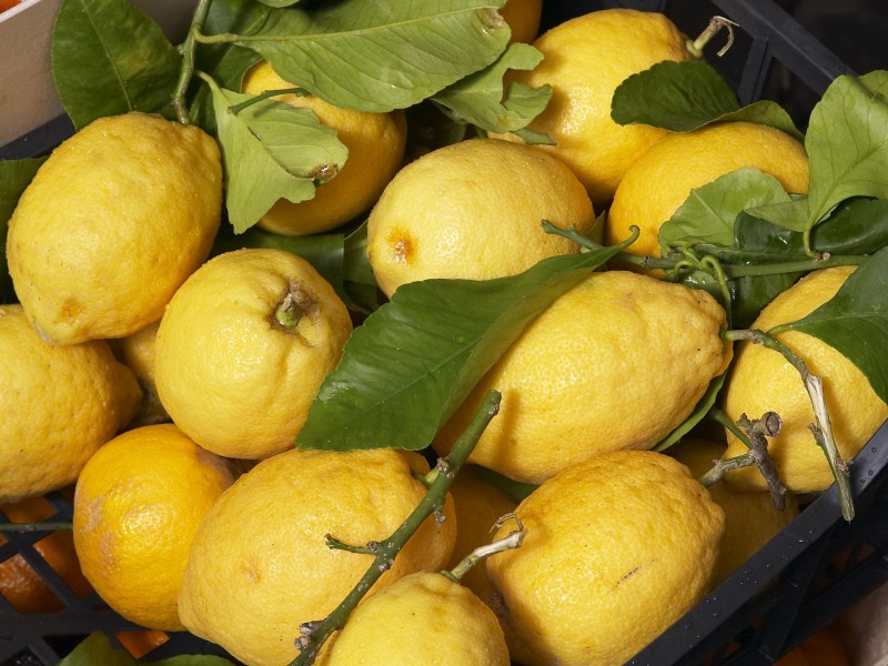Спелые лимоны 800x600